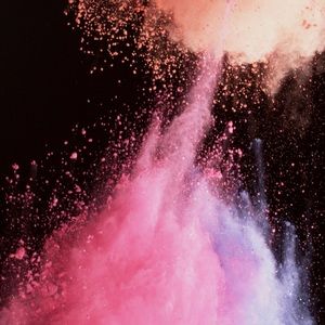 Meet your Posher, Lina